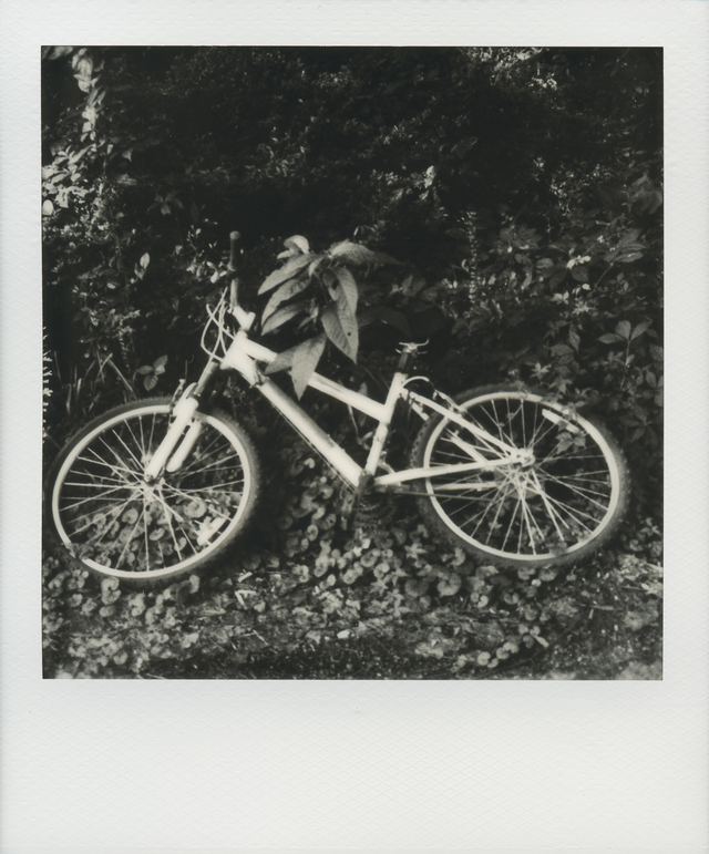 Polaroid photograph, August 14, 2023
