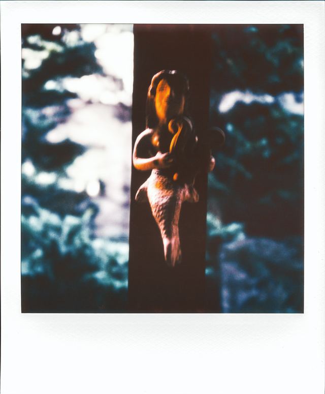 Polaroid photograph, August 22, 2023