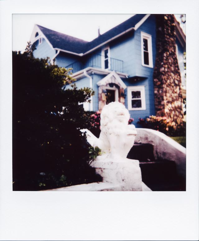 Polaroid photograph, August 24, 2023