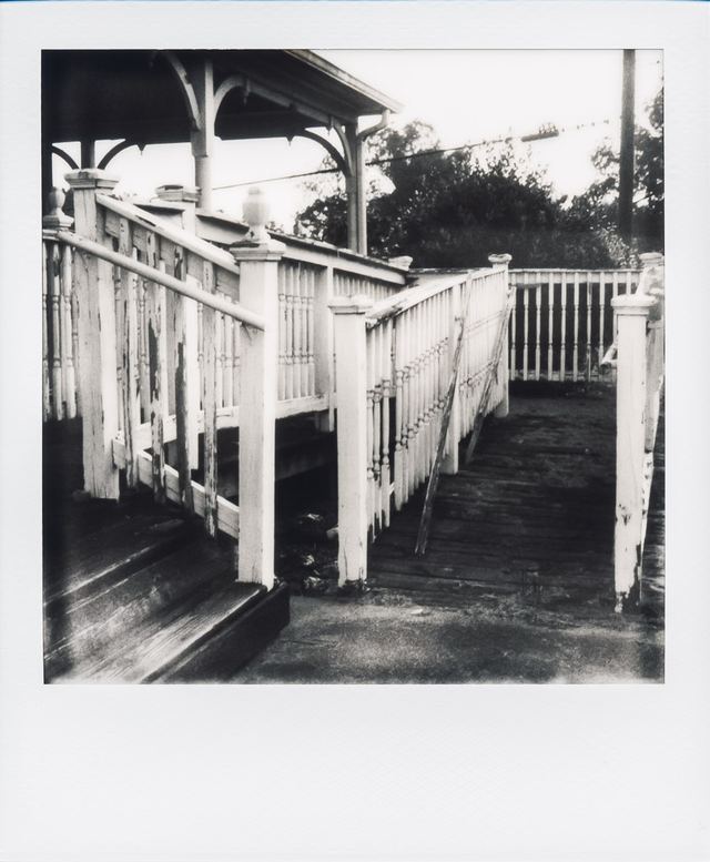 Polaroid photograph, August 25, 2023