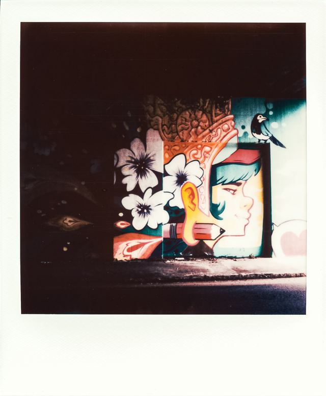 Polaroid photograph, September 2, 2023