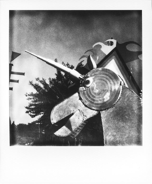 Polaroid photograph, September 4, 2023