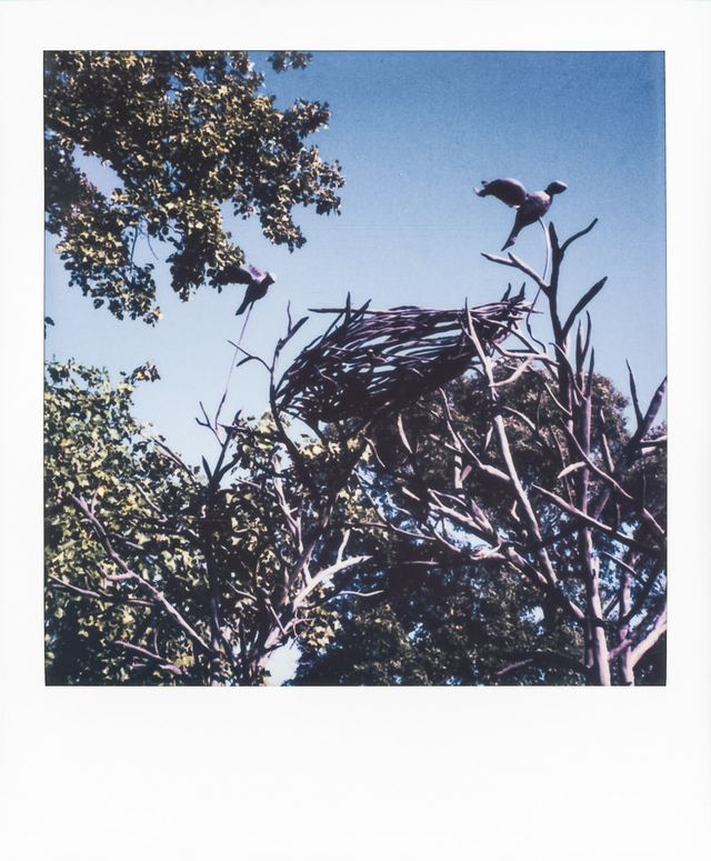 Polaroid photograph, September 7, 2023