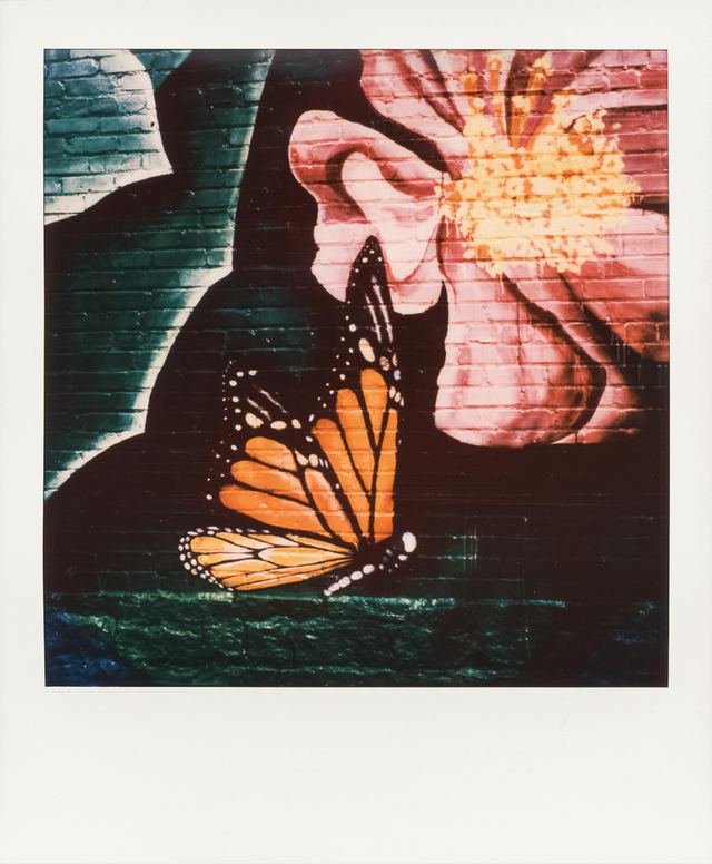 Polaroid photograph, September 9, 2023