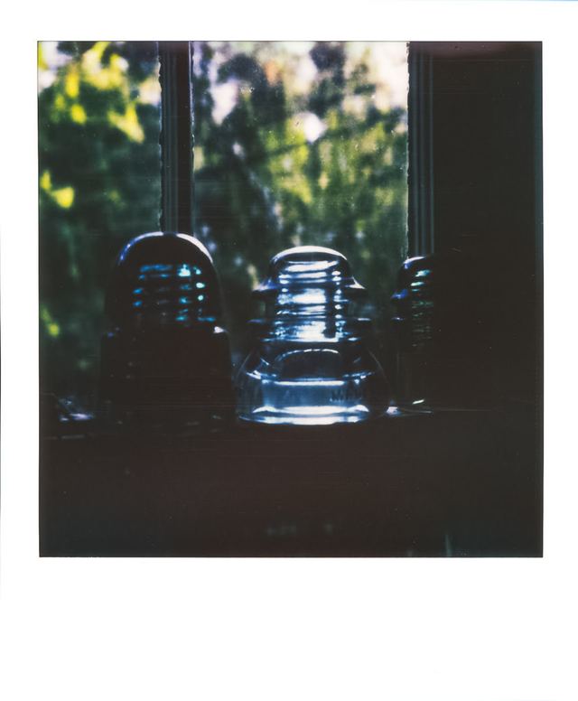 Polaroid photograph, September 10, 2023