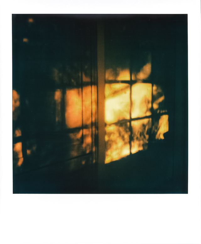 Polaroid photograph, September 11, 2023