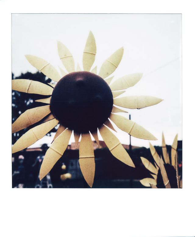 Polaroid photograph, September 15, 2023