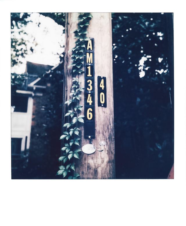Polaroid photograph, September 17, 2023