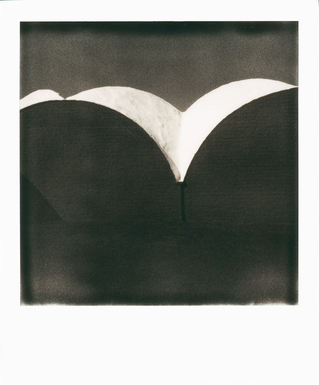 Polaroid photograph, September 30, 2023