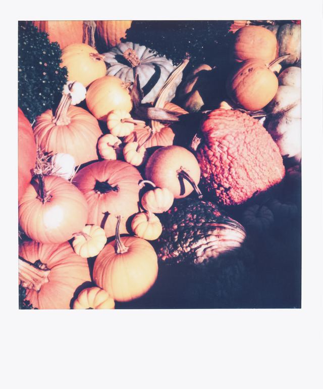 Polaroid photograph, October 4, 2023