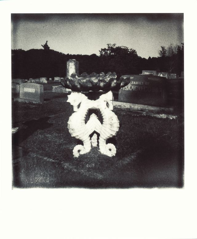 Polaroid photograph, October 7, 2023