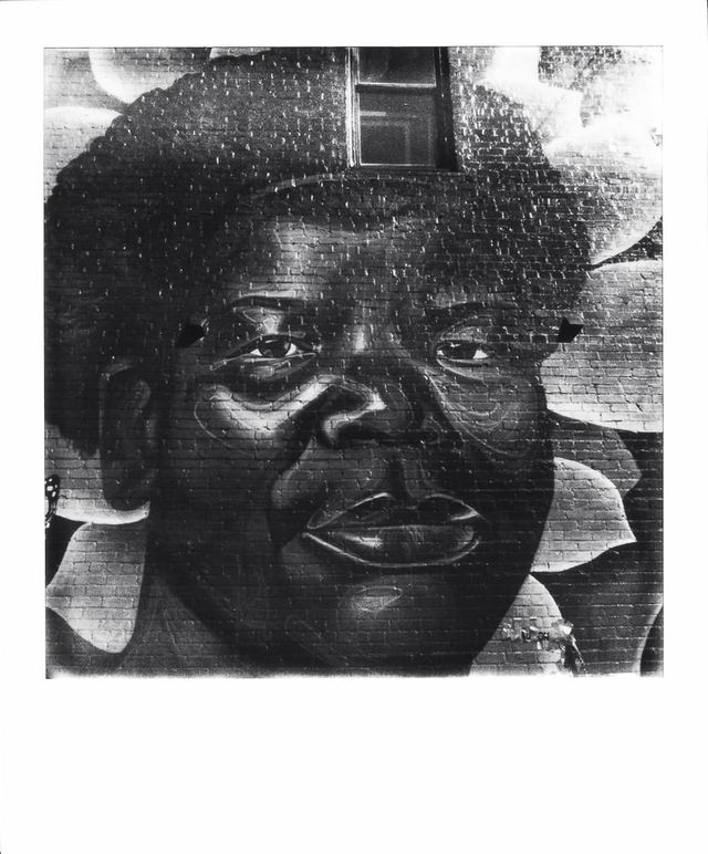 Polaroid photograph, October 8, 2023