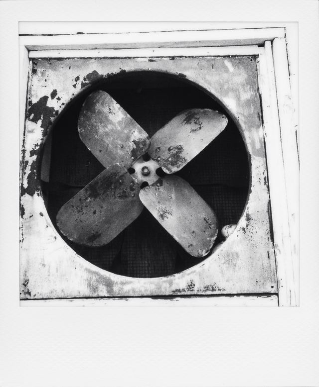 Polaroid photograph, October 10, 2023