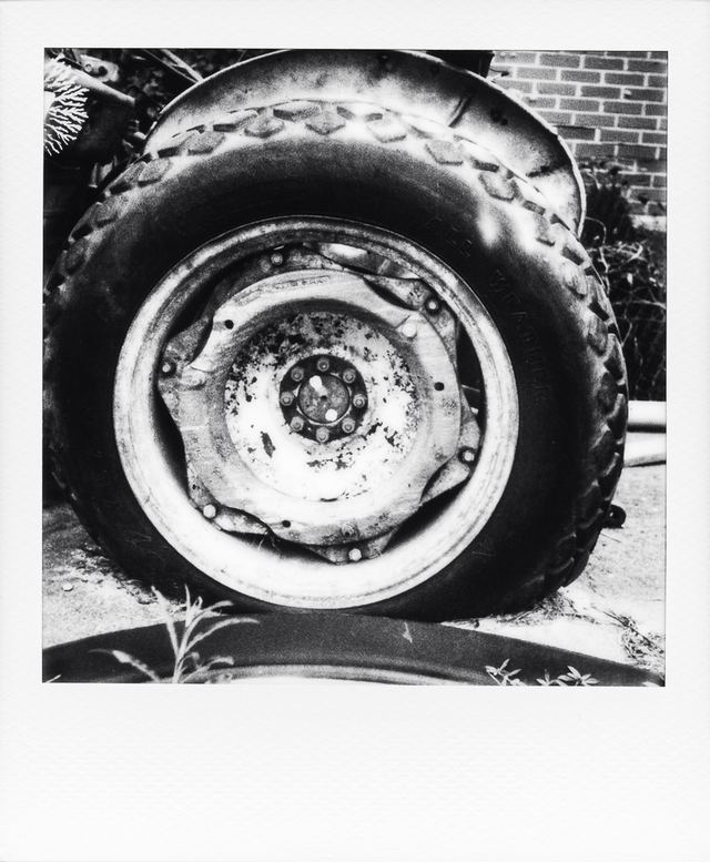 Polaroid photograph, October 11, 2023
