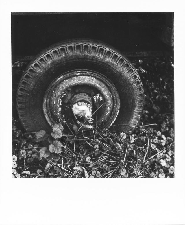 Polaroid photograph, October 12, 2023