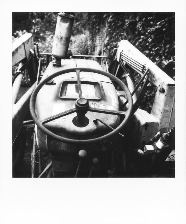 Polaroid photograph, October 13, 2023