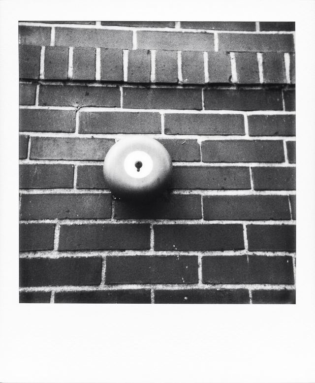 Polaroid photograph, October 14, 2023