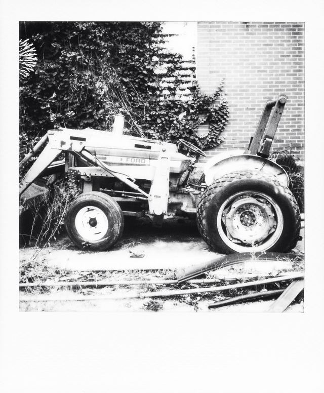 Polaroid photograph, October 15, 2023