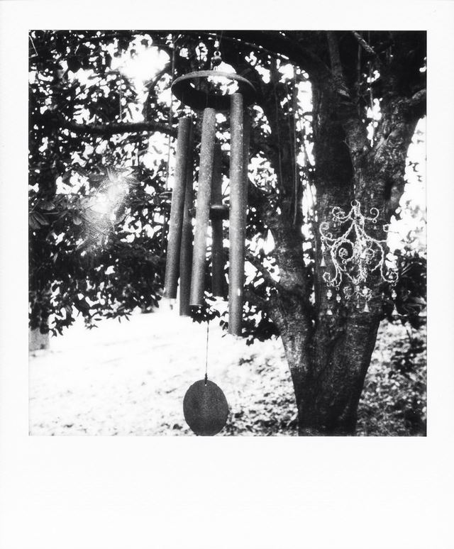 Polaroid photograph, October 19, 2023