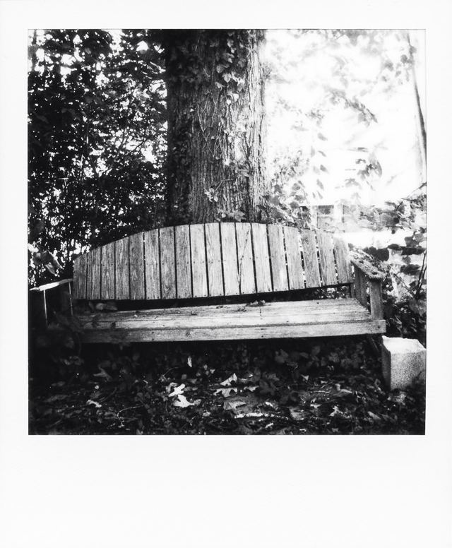 Polaroid photograph, October 21, 2023