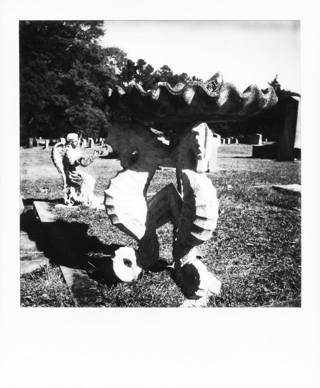 Polaroid photograph, October 22, 2023