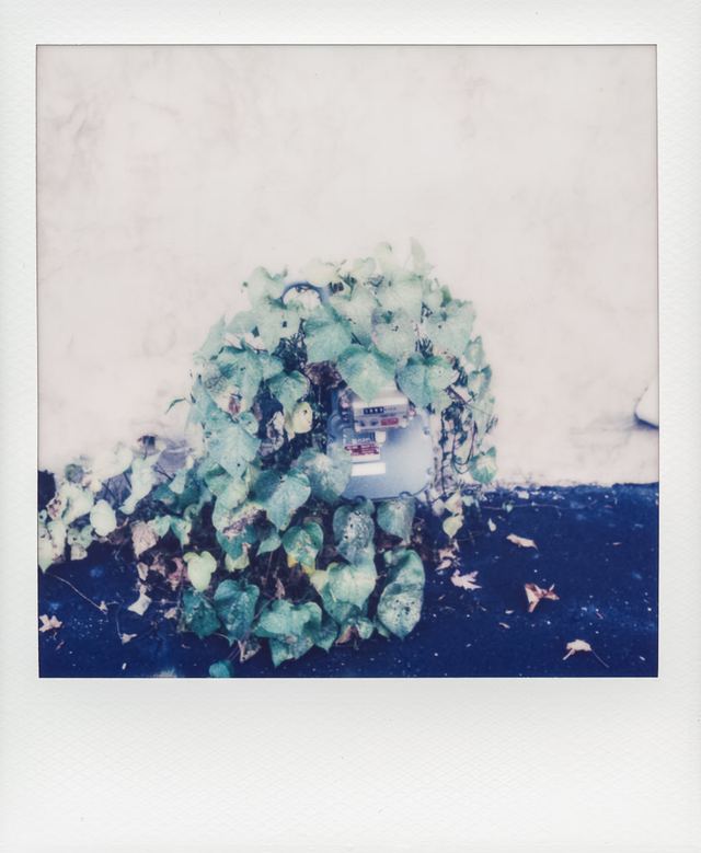 Polaroid photograph, October 25, 2023