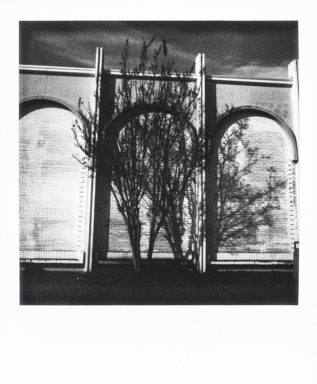 Polaroid photograph, October 31, 2023