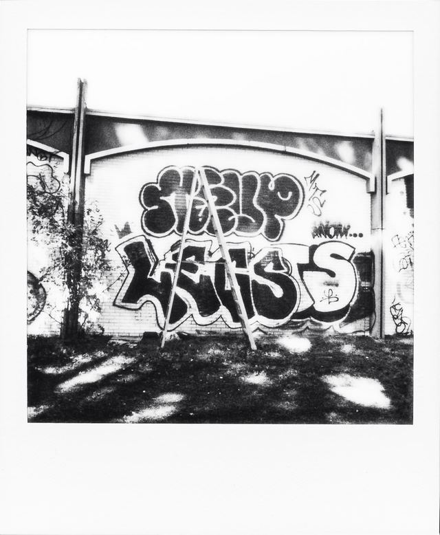 Polaroid photograph, November 1, 2023