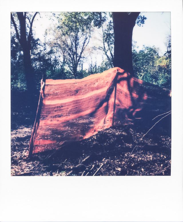 Polaroid photograph, November 4, 2023