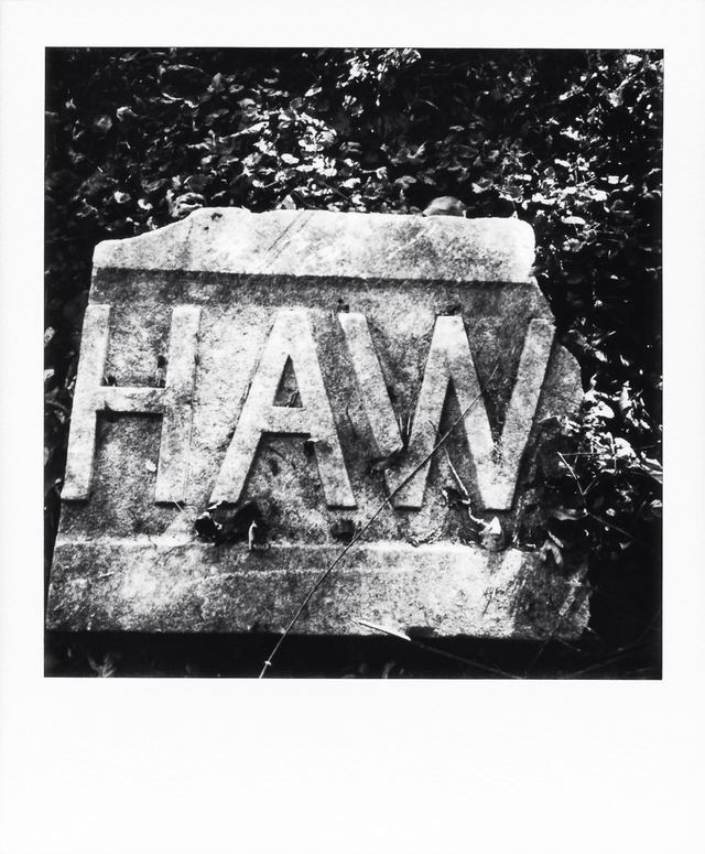 Polaroid photograph, November 5, 2023
