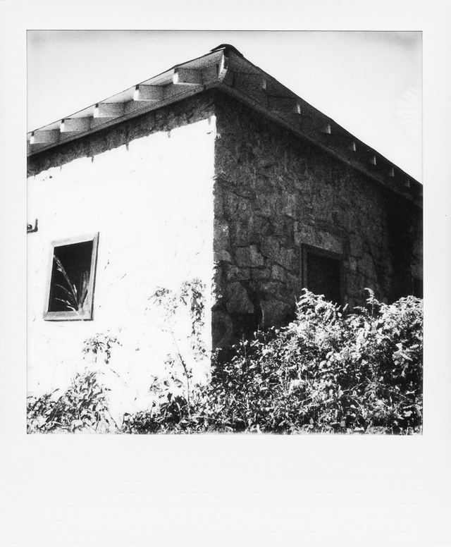 Polaroid photograph, November 6, 2023