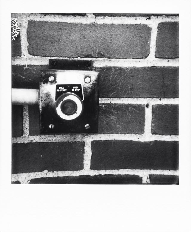 Polaroid photograph, November 7, 2023