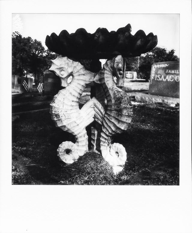 Polaroid photograph, November 8, 2023