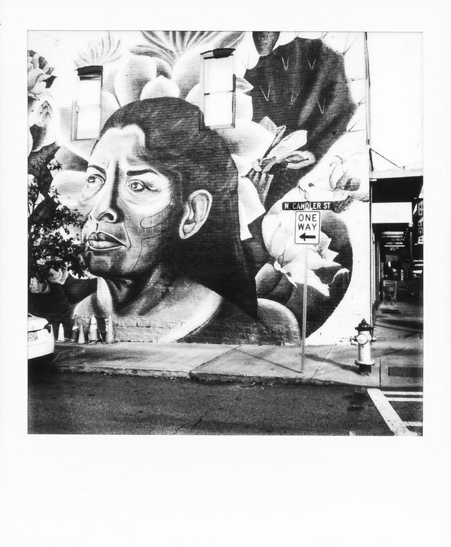 Polaroid photograph, November 9, 2023
