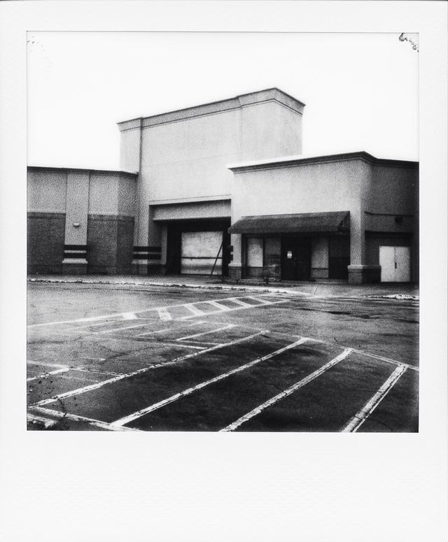 Polaroid photograph, November 10, 2023