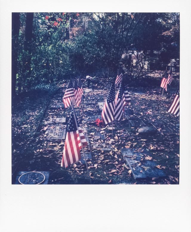 Polaroid photograph, November 13, 2023