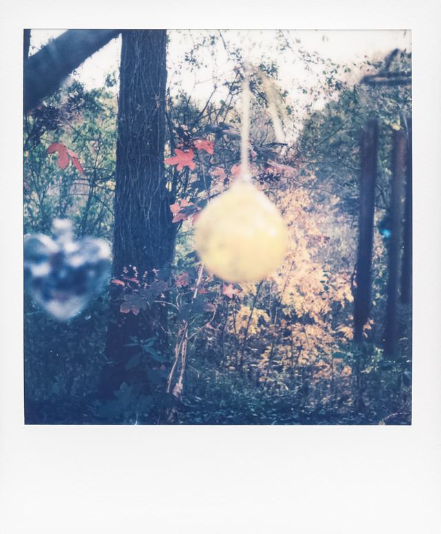 Polaroid photograph, November 14, 2023
