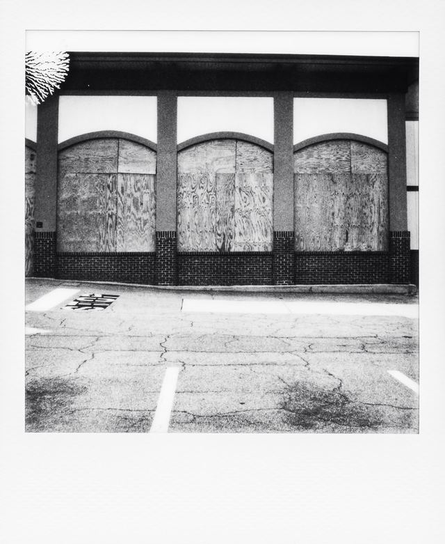 Polaroid photograph, November 15, 2023