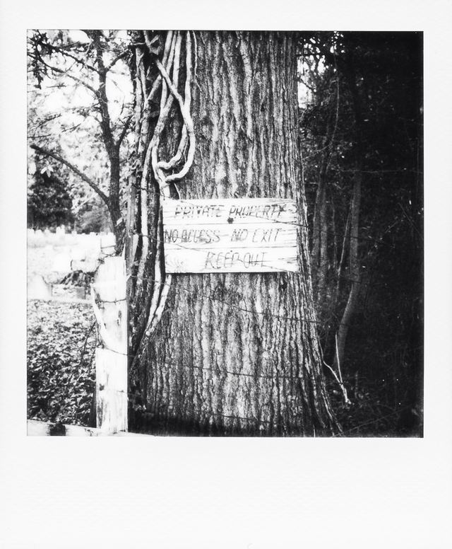 Polaroid photograph, November 16, 2023