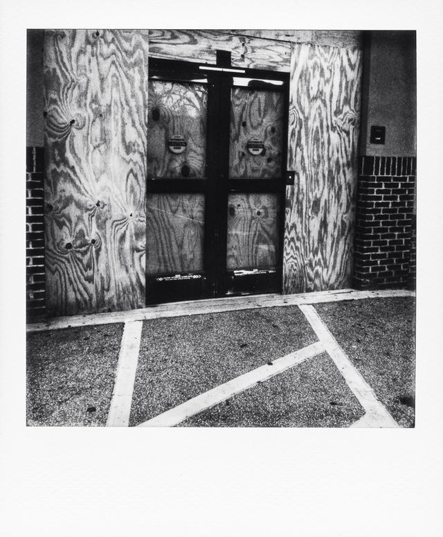 Polaroid photograph, November 17, 2023