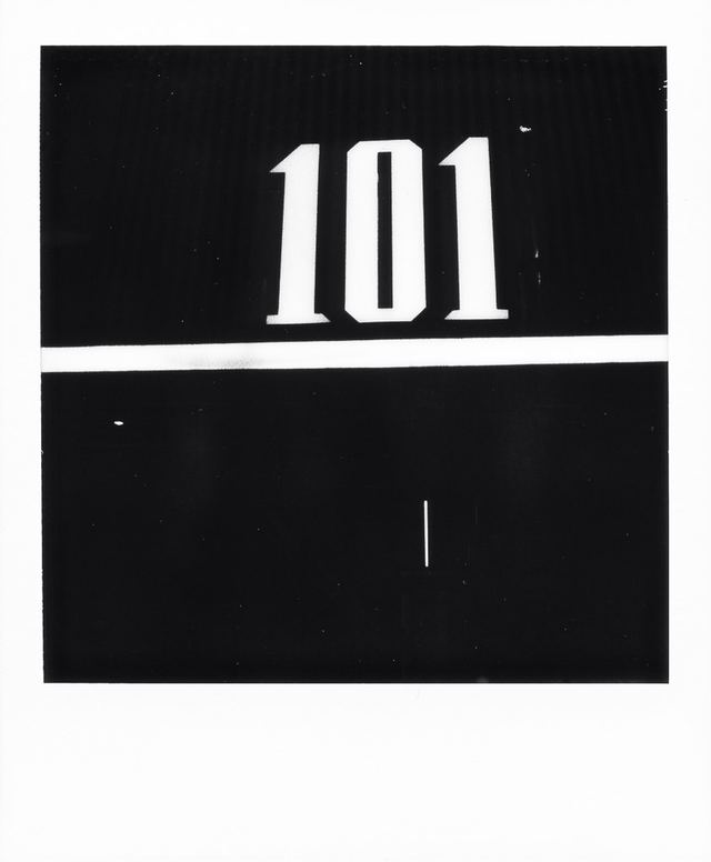 Polaroid photograph, November 21, 2023