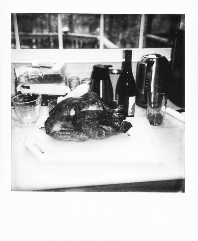 Polaroid photograph, November 23, 2023