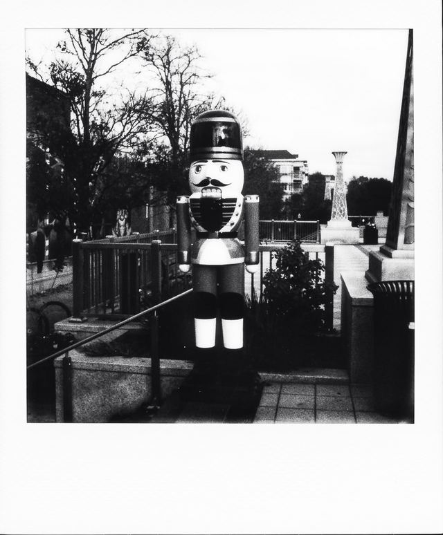 Polaroid photograph, November 24, 2023