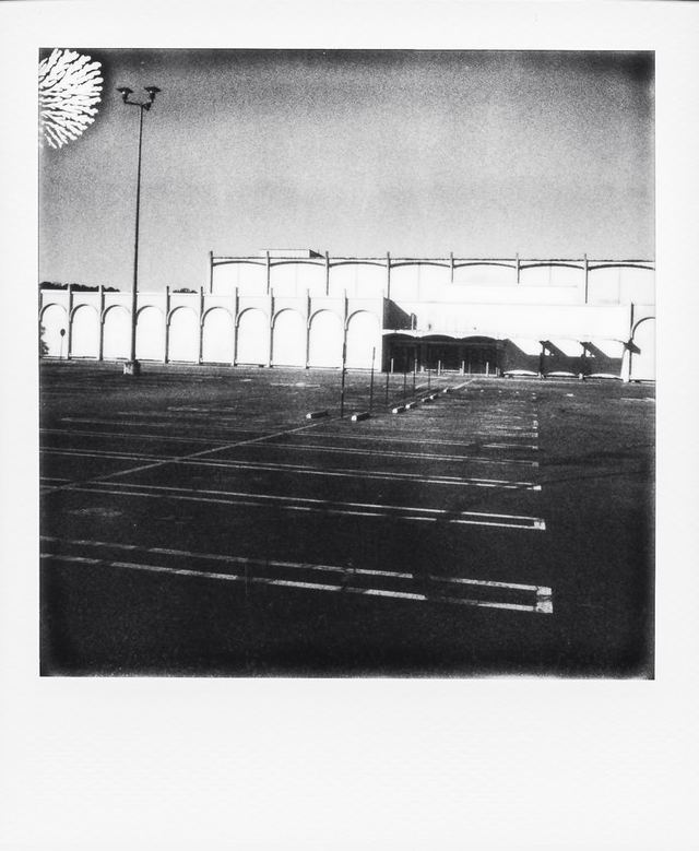 Polaroid photograph, November 27, 2023