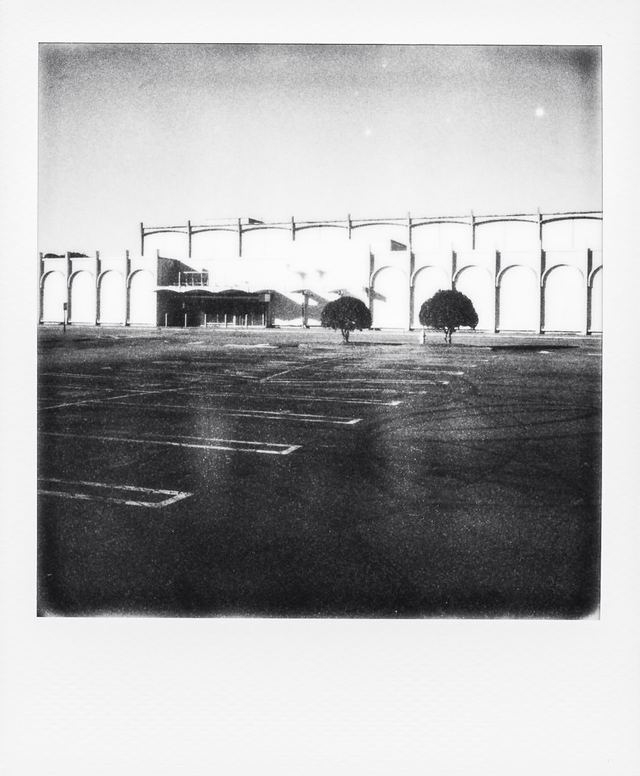 Polaroid photograph, November 28, 2023