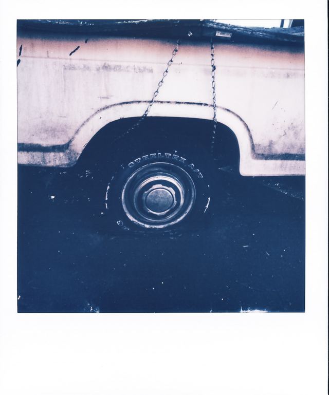 Polaroid photograph, November 30, 2023