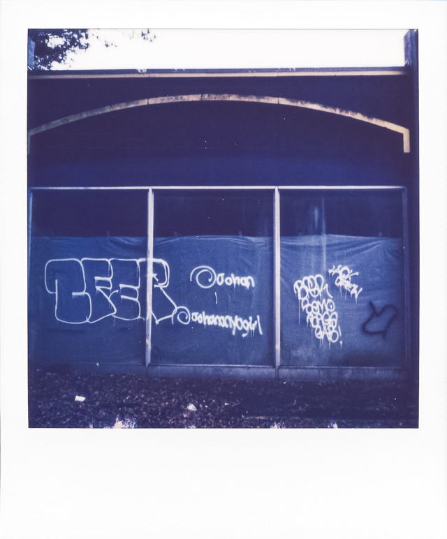 Polaroid photograph, December 2, 2023