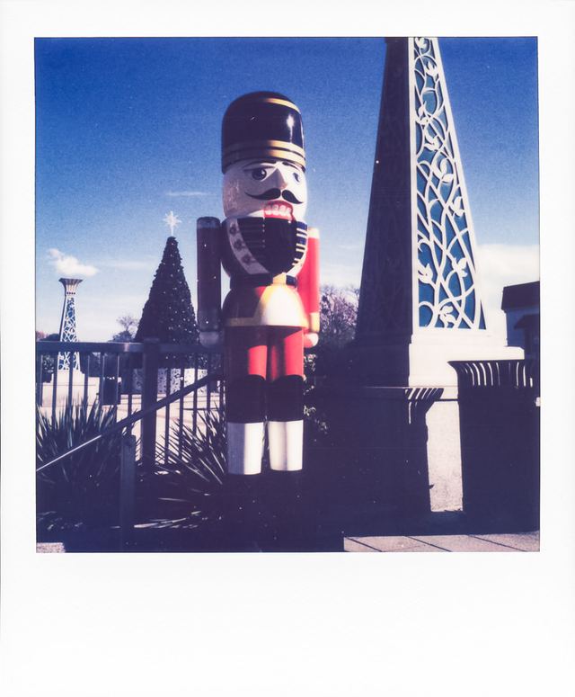 Polaroid photograph, December 4, 2023
