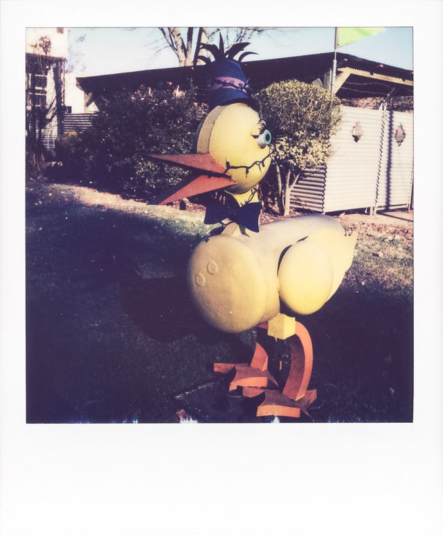 Polaroid photograph, December 7, 2023