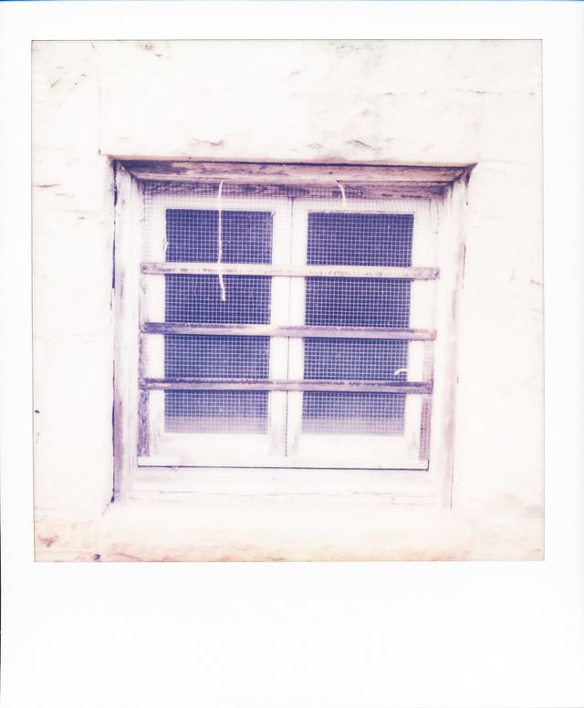 Polaroid photograph, December 8, 2023